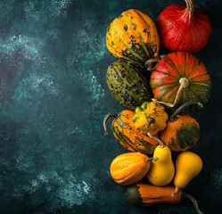 Various decorative pumpkin on green background