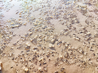 Ice and water in the spring in flood. Puddle. Background, texture, pattern, frame, copy space. puddle with melted ice and water in the spring