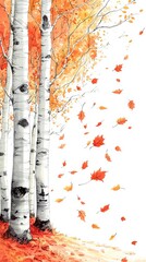 Birch trees in autumn, with colorful falling leaves, white background.