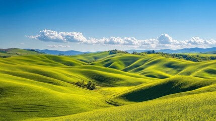 Obraz premium Lush green hills under a clear blue sky, showcasing the beauty of nature.