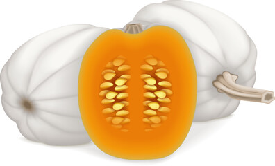 Whole and half of Full Moon pumpkin. Winter squash. Cucurbita maxima. Fruits and vegetables. Isolated vector illustration.