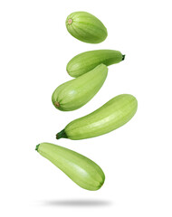 Ripe zucchini in the air close up isolated on a white background