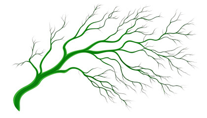 Fototapeta premium A vibrant green tree branch with intricate patterns and delicate leaves, ideal for nature-themed projects and designs.