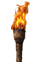 A vibrant torch ignited with flames, symbolizing light, warmth, and adventure in the darkness.