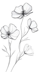 Elegant floral illustration featuring delicate white flowers and intricate line art, perfect for nature-themed designs.