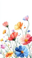 Colorful flowers, white isolate background