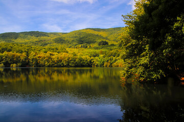 Un bosque se refleja en un lago en otoño