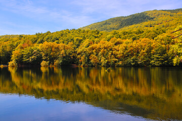 Un bosque otoñal se refleja en las aguas de un lago