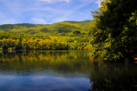 Un bosque se refleja en un lago en oto&ntilde;o