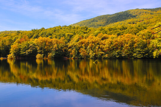 Un bosque oto&ntilde;al se refleja en las aguas de un lago