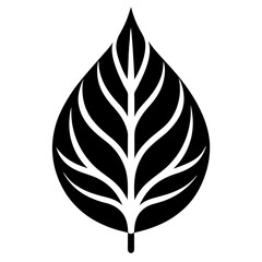  Leaf silhouette icon logo vector art illustration
