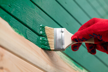 Close up of hand painting wooden wall with a brush. Painting outdoor building wall in green color