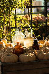 Autumn pumpkins exhibition. Ripe orange pumpkins on the farm. Autumn concept. Pumpkins among vintage decor. Halloween pumpkins