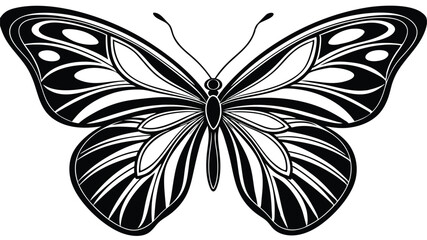 black and white butterfly