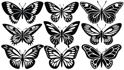collection of butterflies