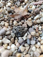 pebbles on the beach