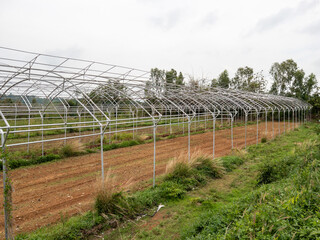 The white metal frame of the modern greenhouse.