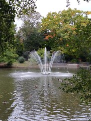fountain in the park