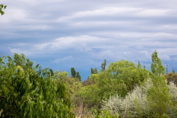 Viñedos, naturaleza  y tormenta