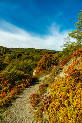 Fototapeta premium Eine farbenfrohe herbstliche Wanderung durch die wunderschöne Landschaft der Saale Horizontale bei Jena - Thüringen - Deutschland