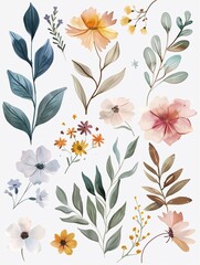 Plants and flowers in a white background. Watercolor wildflowers and leaves illustration set. Botanical leaf, floral, wedding, card, invitation, greeting decoration.