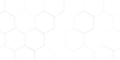 Fototapeta premium Seamless pattern of the hexagonal netting