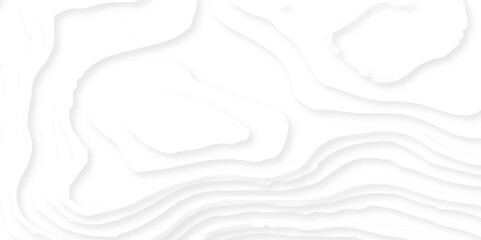 3D papercut banner of gradient white paper layers. Vector background design of horizontal abstract smooth origami shape paper cut, flowing liquid