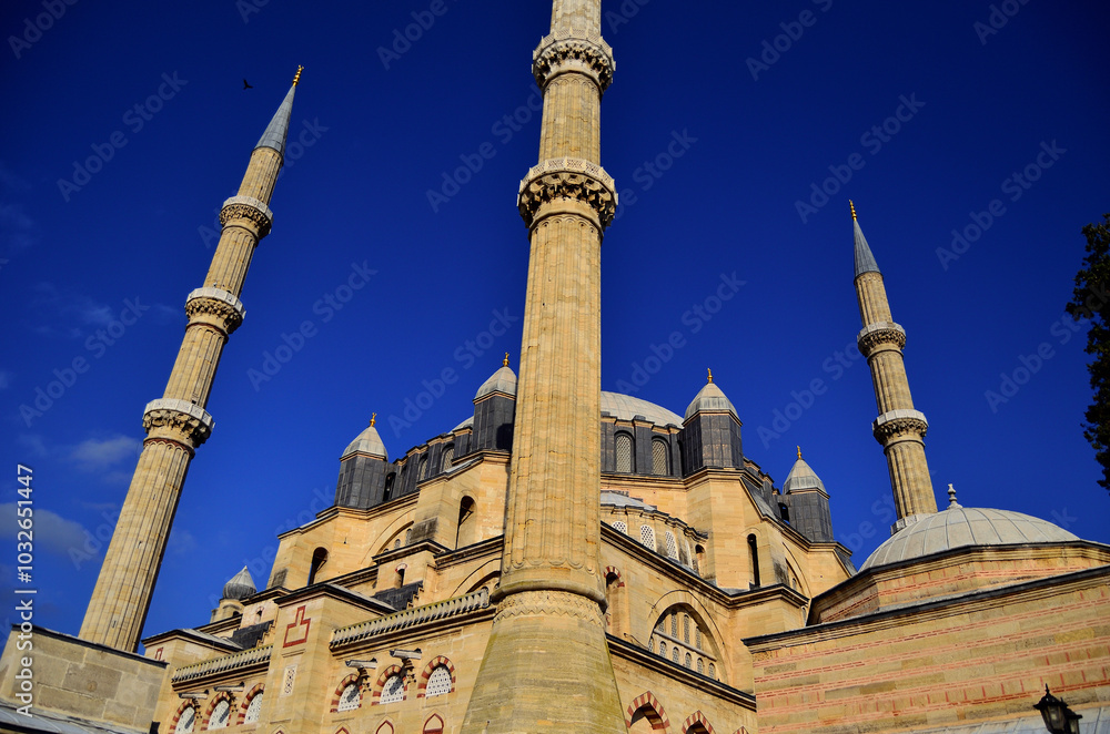 Wall mural blue mosque