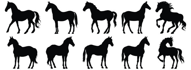 Horse silhouette set vector design big pack of animal illustration and icon