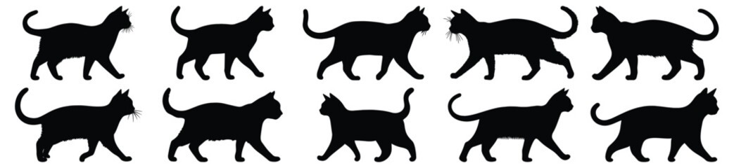 Cat silhouette set vector design big pack of feline illustration and icon