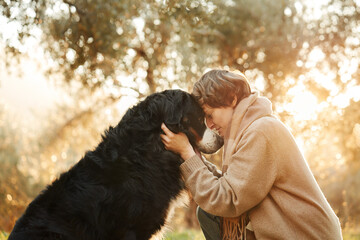 A woman and her Bernese Mountain Dog share a gentle connection in the dappled light of the forest.