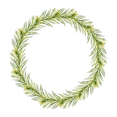 A wreath or round frame of young tea tree branches (Melaleuca alternifolia) isolated on a white background. Design element for Christmas arrangements, cards, invitations, collages, patterns.