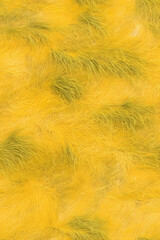 Obraz premium Vibrant Seamless Texture of Grassy Foliage in a Warm Golden Hue Ideal for Creative Design Projects