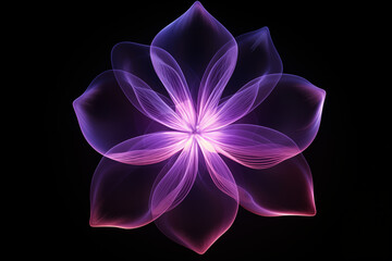 Magnolia flower petal made from purple neon glow light isolated on dark background