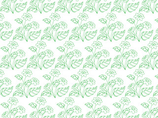 Leaf pattern on the white background
