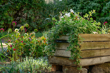 a beautiful autumn garden with numerous flowerbeds and blooming flowers and shrubs in autumn. vegetation in the garden. decorative wooden boxes full of flowers © Adam