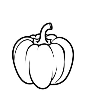 recommend clip art: Line Art Pumpkin Illustration - Fall Harvest Vegetable
