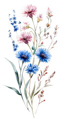 Watercolor Floral Bouquet: Delicate Wildflowers in Blue and Pink