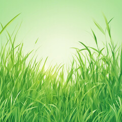 Fototapeta premium green grass illustration background