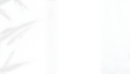 Obraz premium A smooth white wall featuring faint shadows cast by nearby objects, creating a subtle play of light and depth.