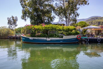 Naklejka premium Boat on the Dalyan Çayı River,Turkey