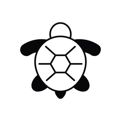 Obraz premium Turtle vector icon stock illustration