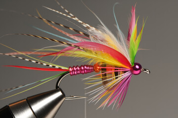 Colorful Artificial Fly for Fishing, Designed with Intricate Feathers and Hooks