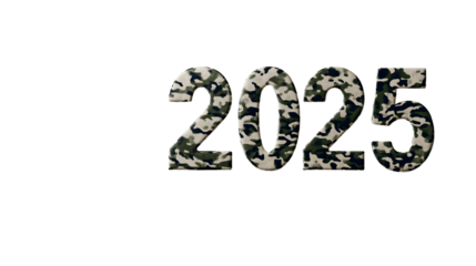 2025 number in camo pattern on transparent background