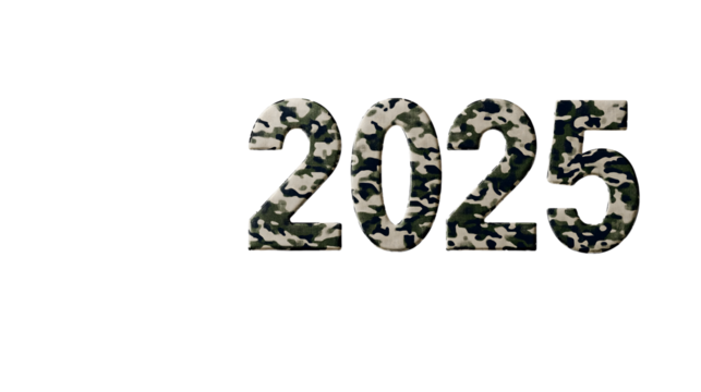 2025 number in camo pattern on transparent background