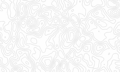 Topographic contour map.