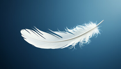 Obraz premium white feather on blue background