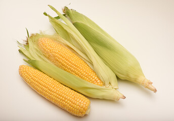 Three ears of corn on a white background. A printed cob. Ripe corn.