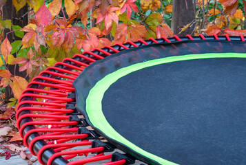 detail of mini trampoline for fitness exercising and rebounding in a backyard, fall scenery