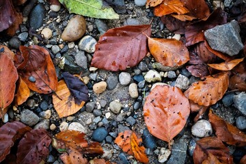 Herbstboden